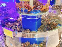 -新海渔港·胶东海鲜家常菜·家宴(奥体中心店)
