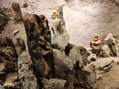 -南越王博物院(王宫展区)