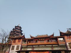 -铁山坪森林公园