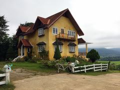 -黄色小屋