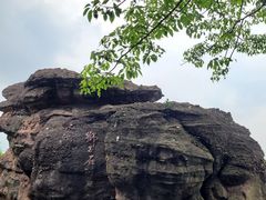 -广州莲花山旅游区