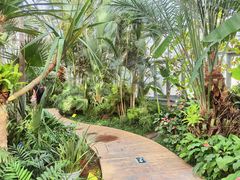 -国家植物园南园