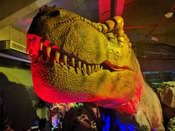 -恐龙探索乐园(磁器口店)