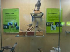 -陕西自然博物馆