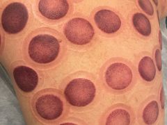 -润合汇养生馆(佳宁娜广场店)