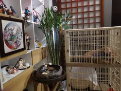 -木子·纹身店TATTOO穿孔·洗纹身