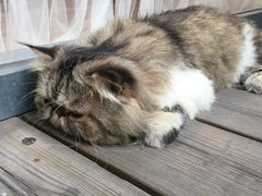 -恋物百货商店(华侨城店)