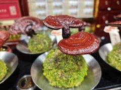 -中卫御苑福膳·养生局(圆明园店)