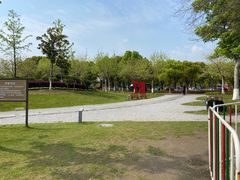 -西山漾湿地公园