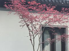 -杭州西湖柳莺里酒店·闻莺厅