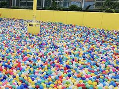 -南宫五洲植物乐园