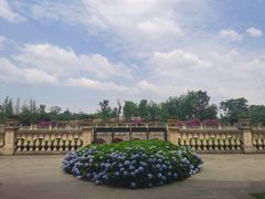 -府河摄影公园