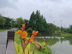 -洋湖国家湿地公园