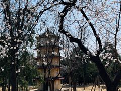 -北京十三陵国家森林公园蟒山景区