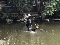 -汇龙潭