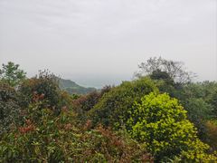 -青城山
