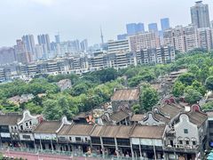 -佛山岭南天地康得思酒店