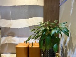 -香秀空间科技抗衰·美容中心