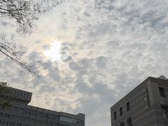 -添福来墨鱼饺子 · 海鲜东北菜(大连星海·黄浦路店)