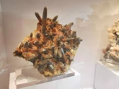 -中华赏石园