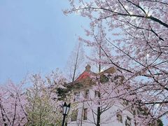 -鸡鸣寺