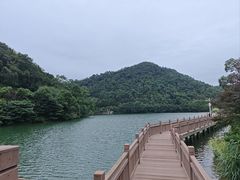 -桃花岭景区