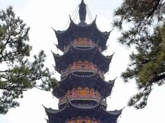 -龙华素斋(龙华路店)