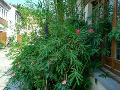 -南通濠河风景名胜区