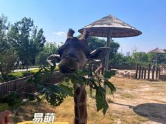 -太原动物园