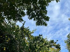 -从前慢海鲜面馆