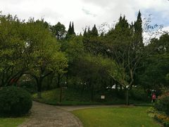 -瀛洲公园