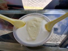 -义顺牛奶公司(新马路老店)