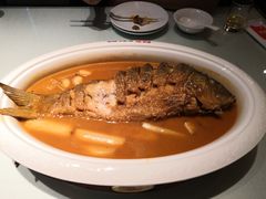 -阿五黄河大鲤鱼(纬三路店)