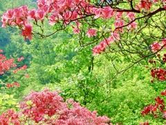 -西泰山风景区