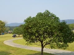 -钟山体育运动公园