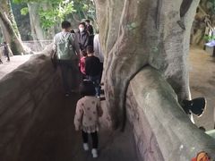 -福州罗源湾海洋世界旅游区