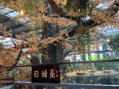-云境生态园(红谷滩店)