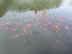 -重元寺