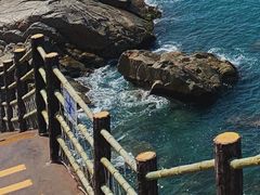 -广东惠东海龟国家级自然保护区