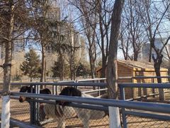 -长白岛森林公园