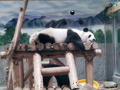 -西安秦岭野生动物园