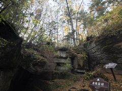 -汤旺河林海奇石景区