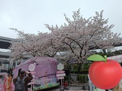 -南浦大桥长途旅游客运站