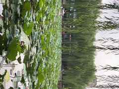 -团结湖公园