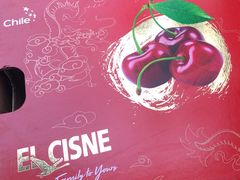 -上海龙吴水胜海发市场