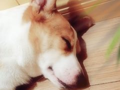 -上海颛桥万达广场