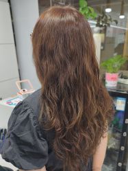 -镁连社·美联社