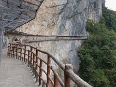 -鹿院坪生态旅游景区