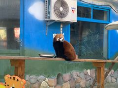 -栾川竹海野生动物园