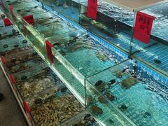 -洲晓鲜·舟山海鲜大排档(朱家尖风景区店)